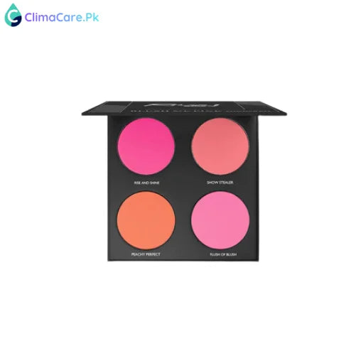 RHD Blush Me Pink Powder Kit