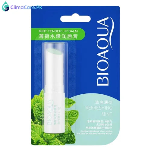 Bioaqua Moisturizing Mint Lip Balm 4g