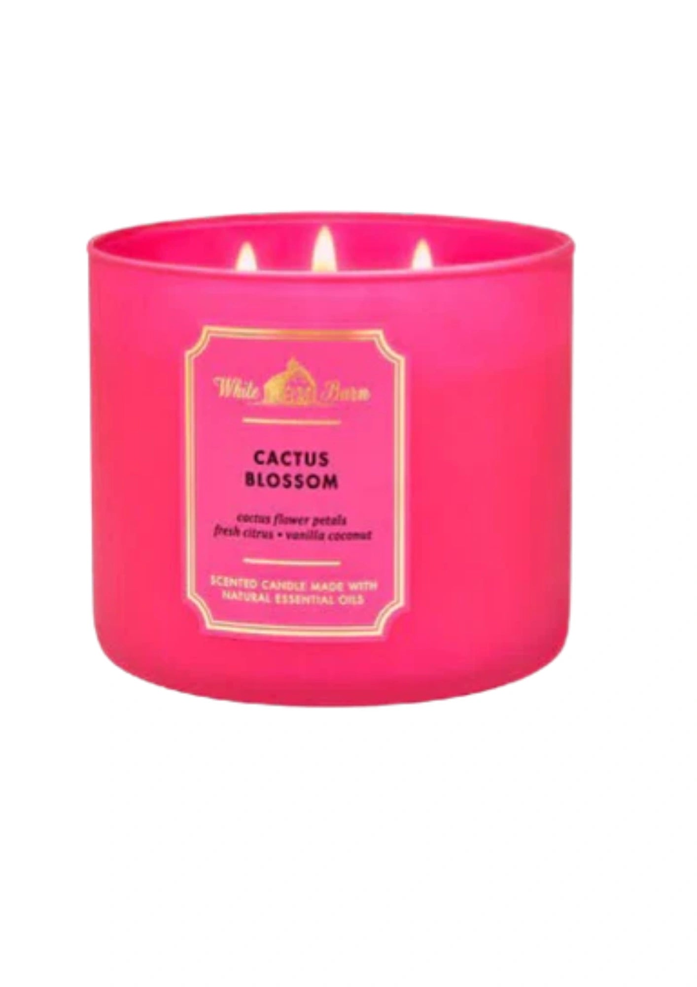 Bath & Body Works Cactus Blossom 3-Wick Candle